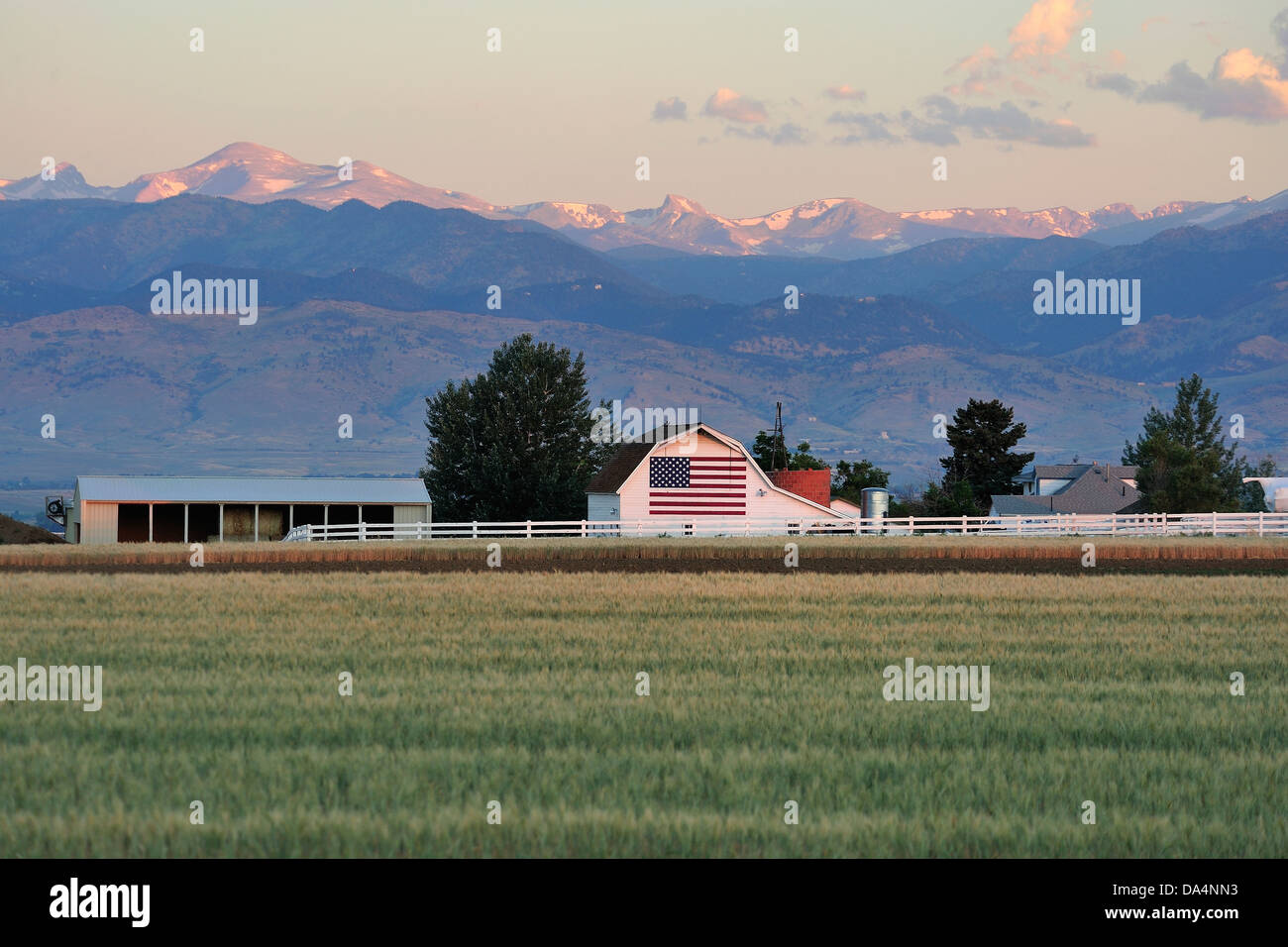 Exploitation de blé, Colorado, USA Banque D'Images