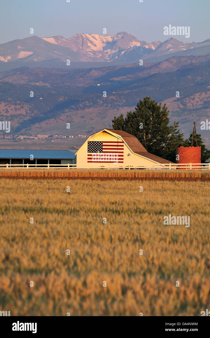 Exploitation de blé, Colorado, USA Banque D'Images