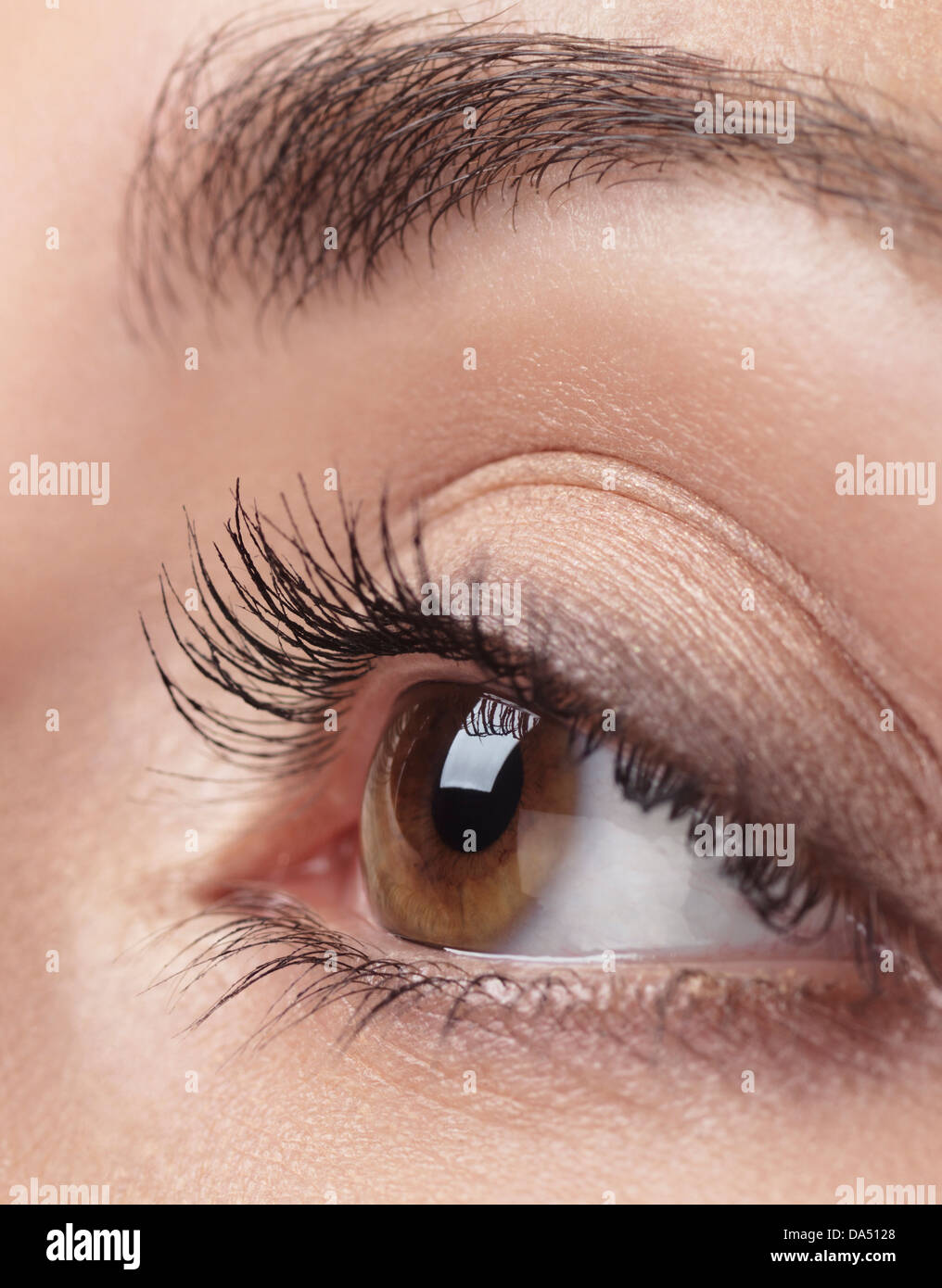Licence et tirages sur MaximImages.com - gros plan photo de l'oeil de femme avec iris brun et cils longs Banque D'Images