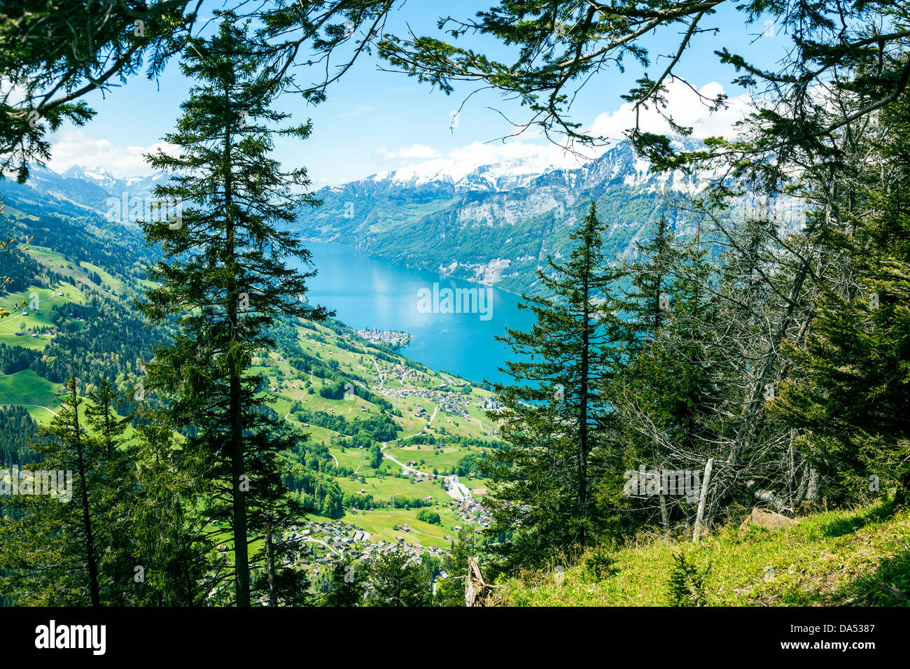 Wallensea vu de la montagne de Flumserberg Banque D'Images