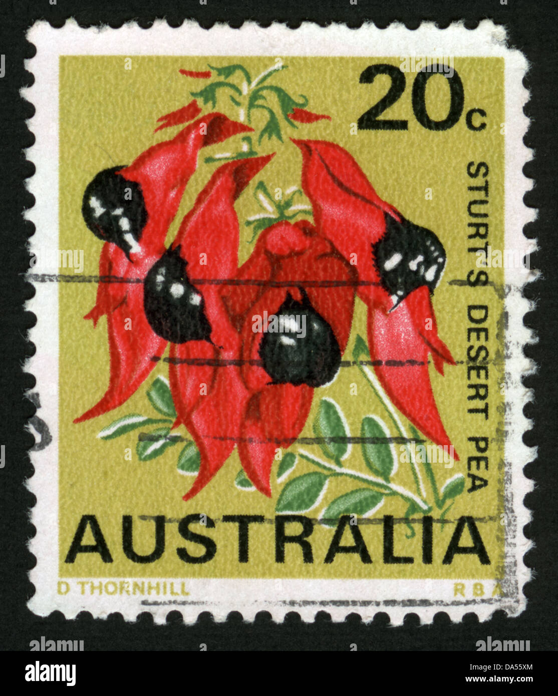 L'Australie,marque,post stamp,fleurs, plantes, fleurs, flore, Banque D'Images
