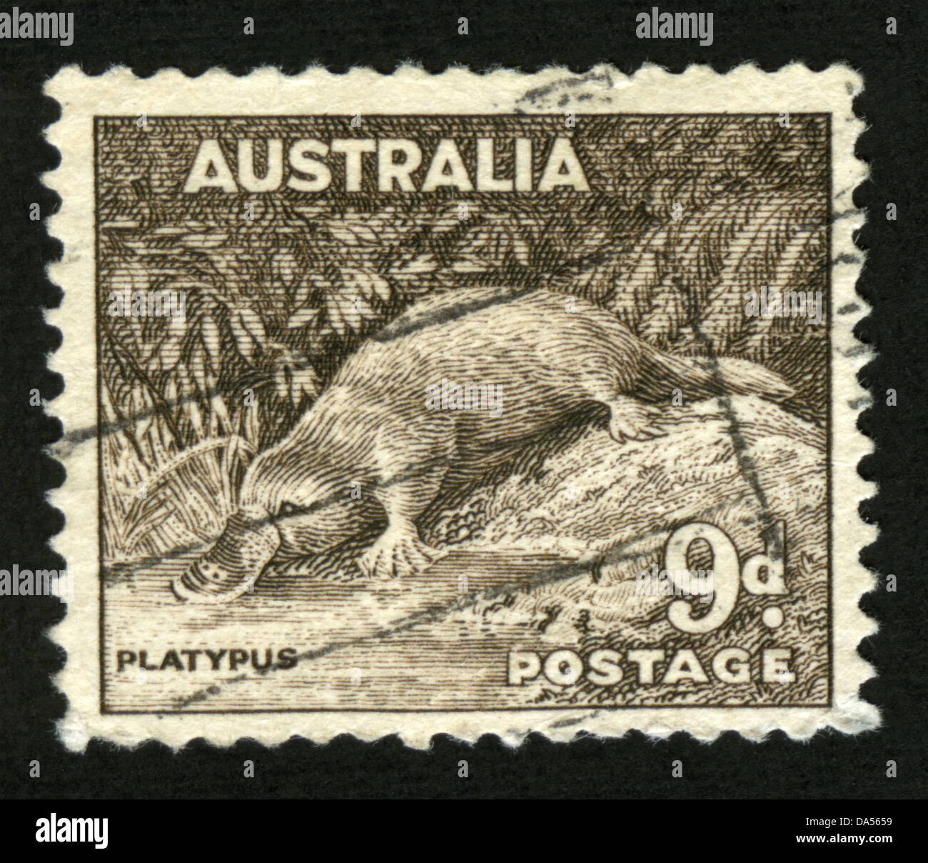 L'Australie, l'Ornithorynque,mark post stamp,Animaux,Animaux,faune,illustrations,mammifères,faune , timbres Banque D'Images