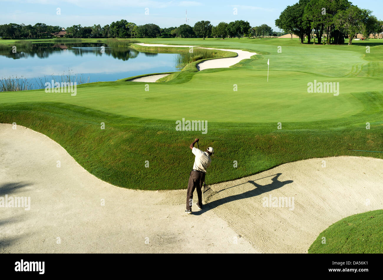 Green keeper à Grand Cypress Golf Club, Orlando, Florida, USA, ratisser les bunkers tôt le matin avant que le golf s'ouvre. Banque D'Images