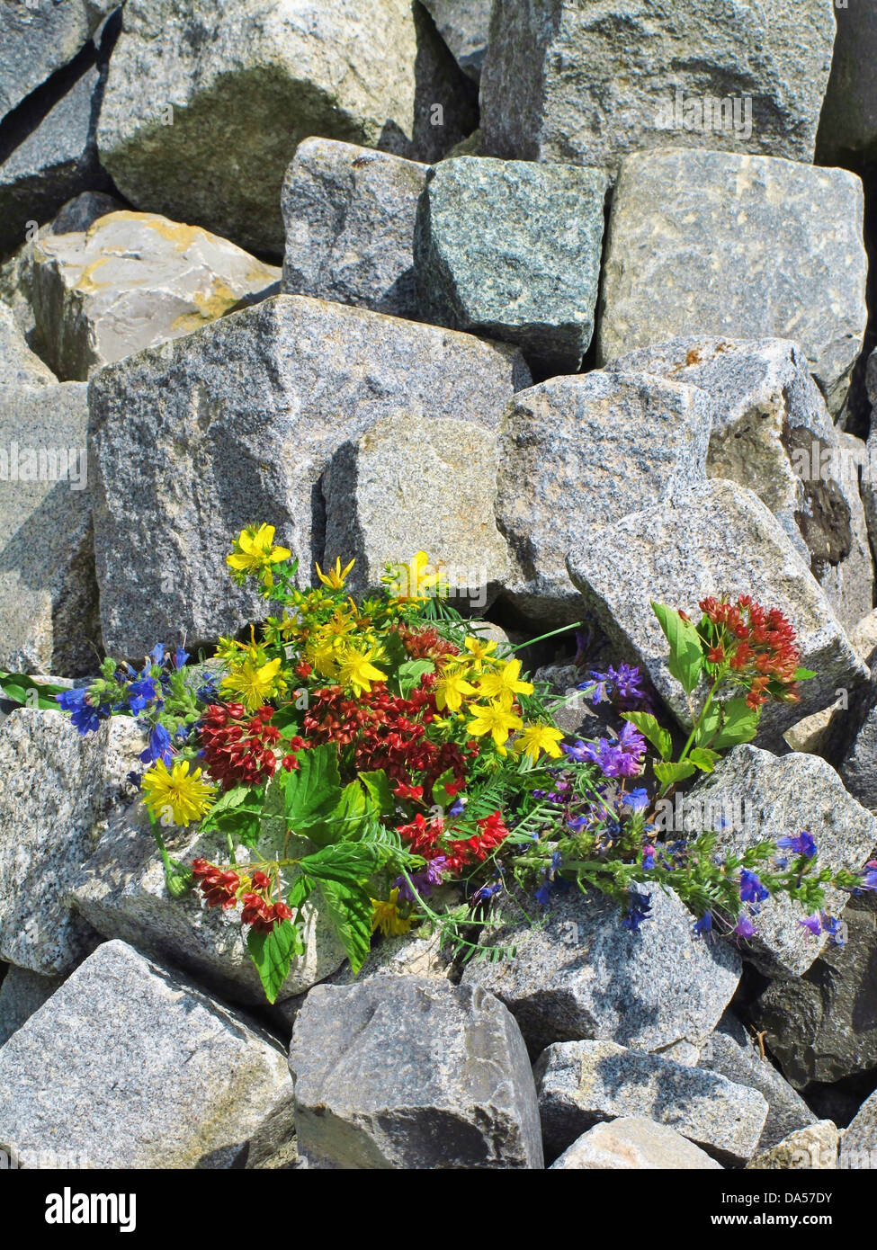 Pierres, frappé, ashlar, maçonnerie, fleurs, organise, bouquet Banque D'Images