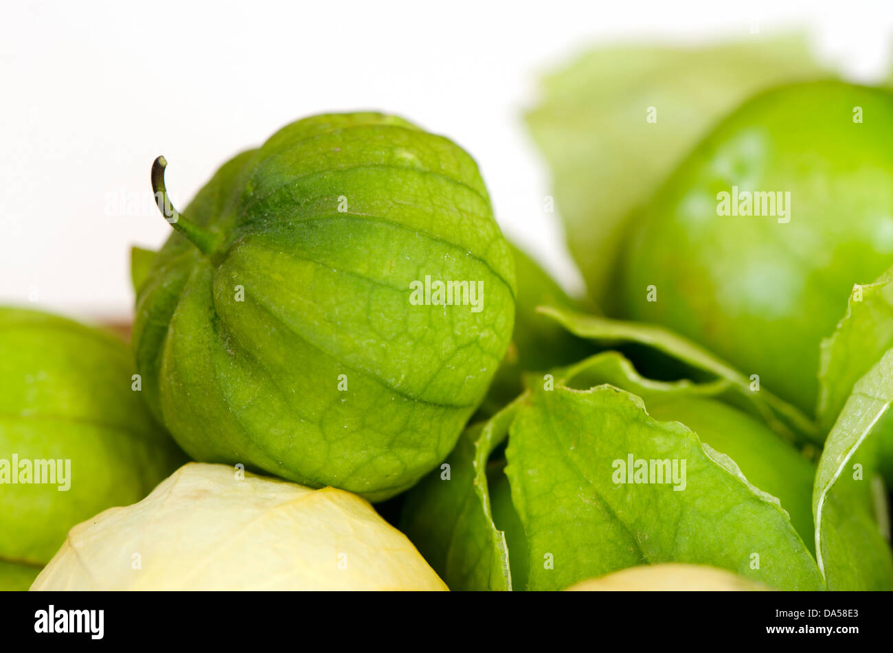 Coques de tomatillo Banque de photographies et d’images à haute résolution Alamy