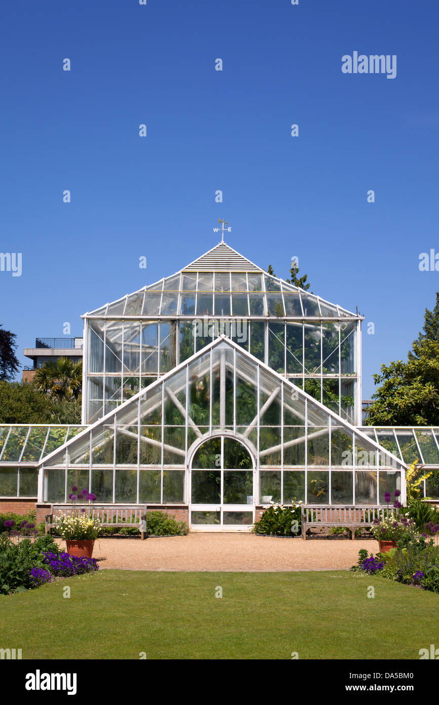 Jardins botaniques de l'Université de Cambridge glass house, serre. Banque D'Images