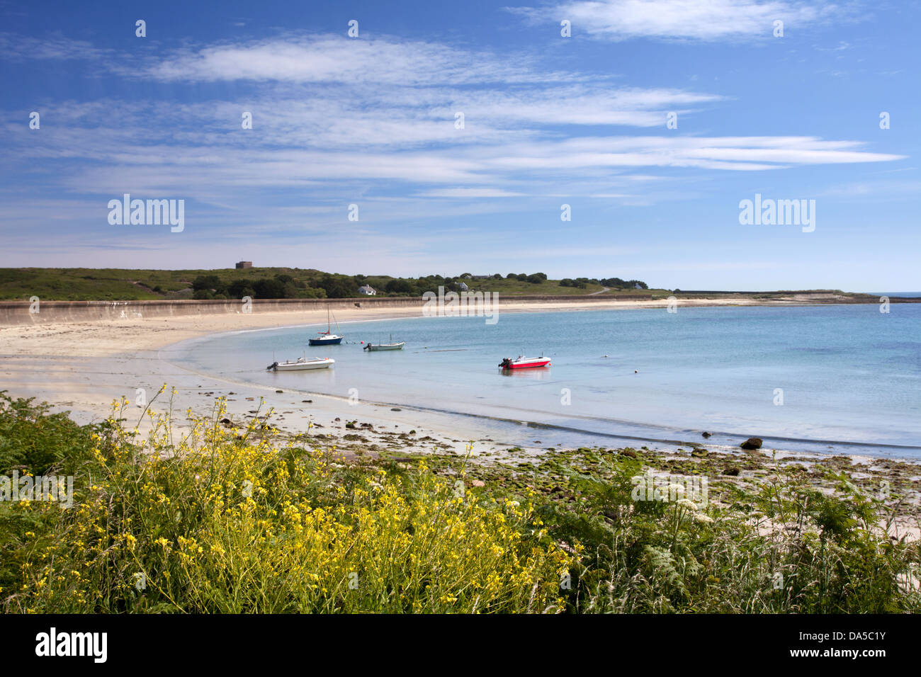 Baie Longis Alderney Channel Islands, UK Banque D'Images