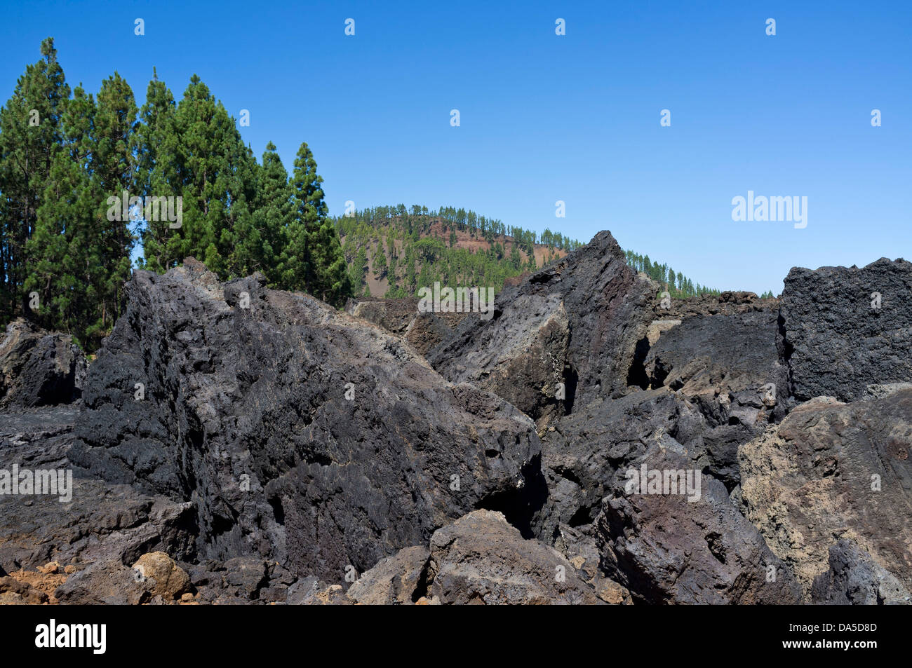 Magma solidifié à partir de la coulée de lave qui a éclaté à partir de 1909 sur Chinyero Tenerife, Canaries, Espagne Banque D'Images