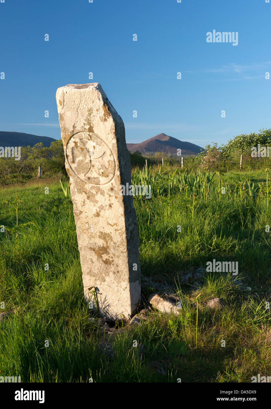 Ce monument antique est un des premiers chrétiens à Killeenleagh Pierre Ogham, comté de Kerry, Irlande Banque D'Images