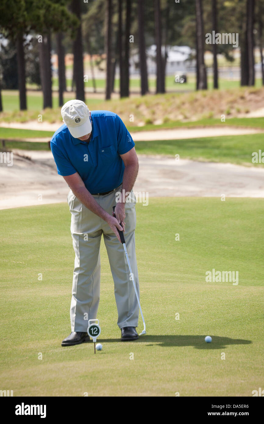 Mâle mature Golfer Putting, Thistle Dhu Putting Course, Pinehurst Resort Golf Course, NC Banque D'Images