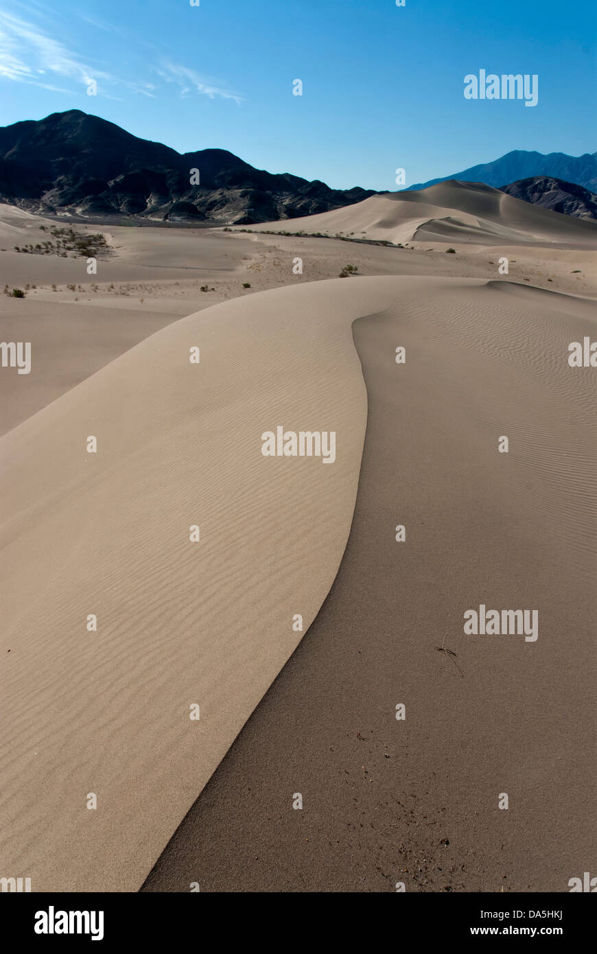 Dunes d'IBEX, vallée de la mort, national, parc, en Californie, les dunes, le désert, USA, United States, Nord, paysage, Banque D'Images