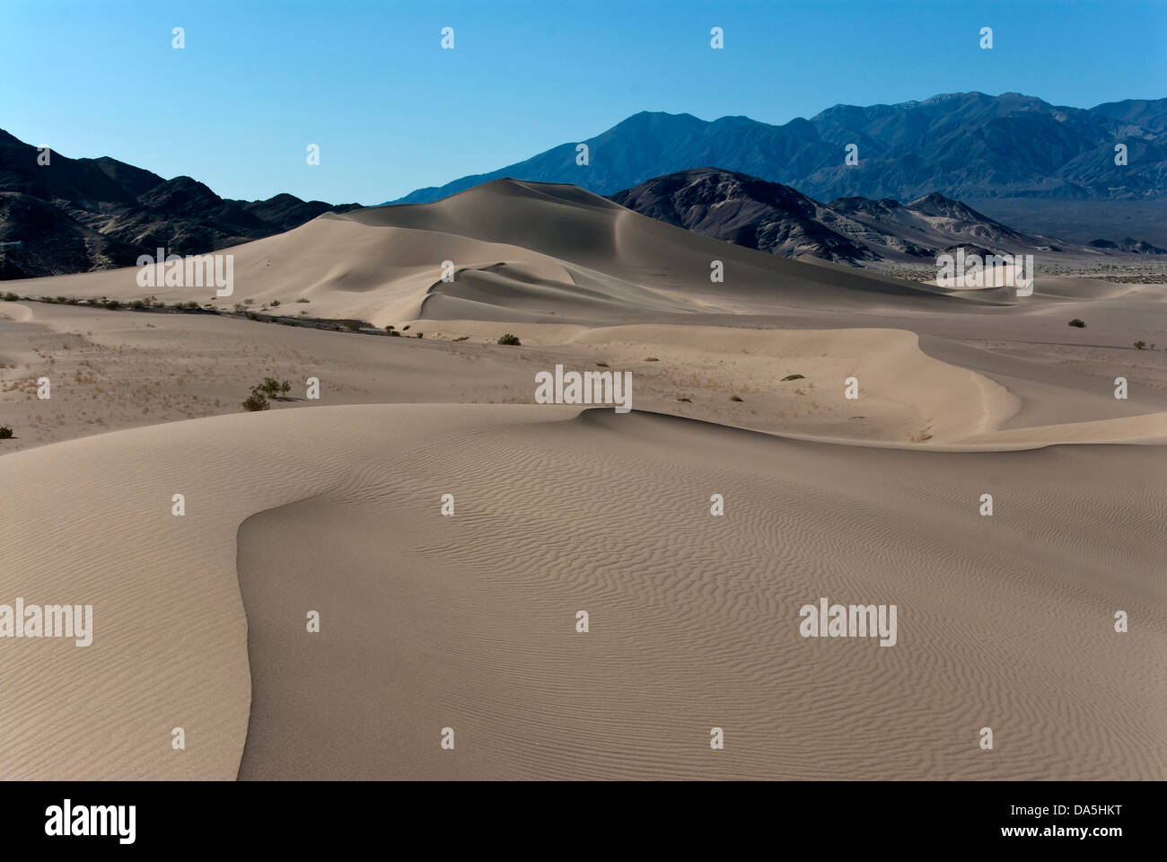 Dunes d'IBEX, vallée de la mort, national, parc, en Californie, les dunes, le désert, USA, United States, Nord, paysage, Banque D'Images