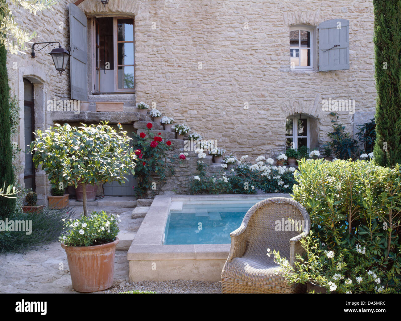 Petite piscine dans la cour intérieure de l'anglais country house avec bay tree en terre cuite pot à côté d'un fauteuil en osier Banque D'Images