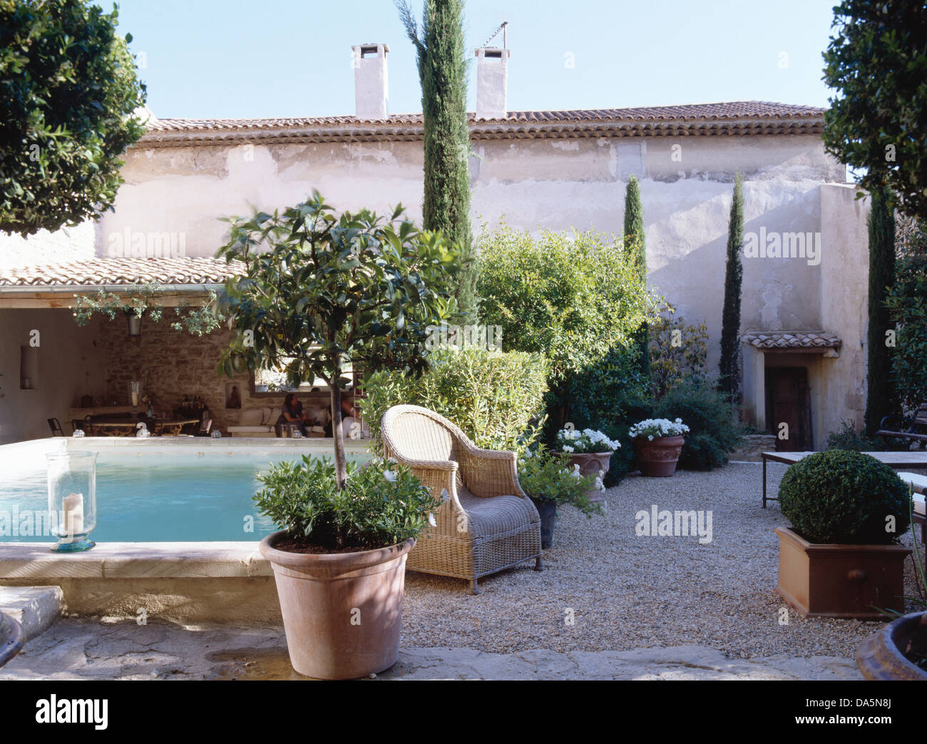 Petit arbre dans le semoir en terre cuite et rotin fauteuil en cour de français pays maison avec piscine et les ifs fastigiate Banque D'Images