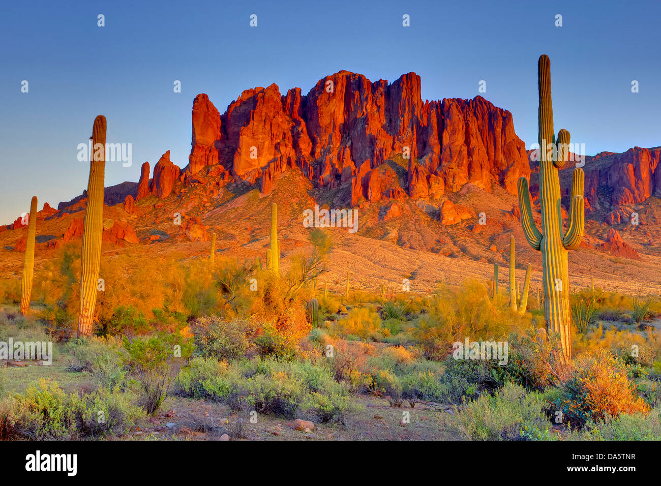 USA, United States, Amérique du Nord, l'Arizona, au sud-ouest, d'Amérique, Superstition Mountains, Lost Dutchman, State Park, parc, Apache Junct Banque D'Images