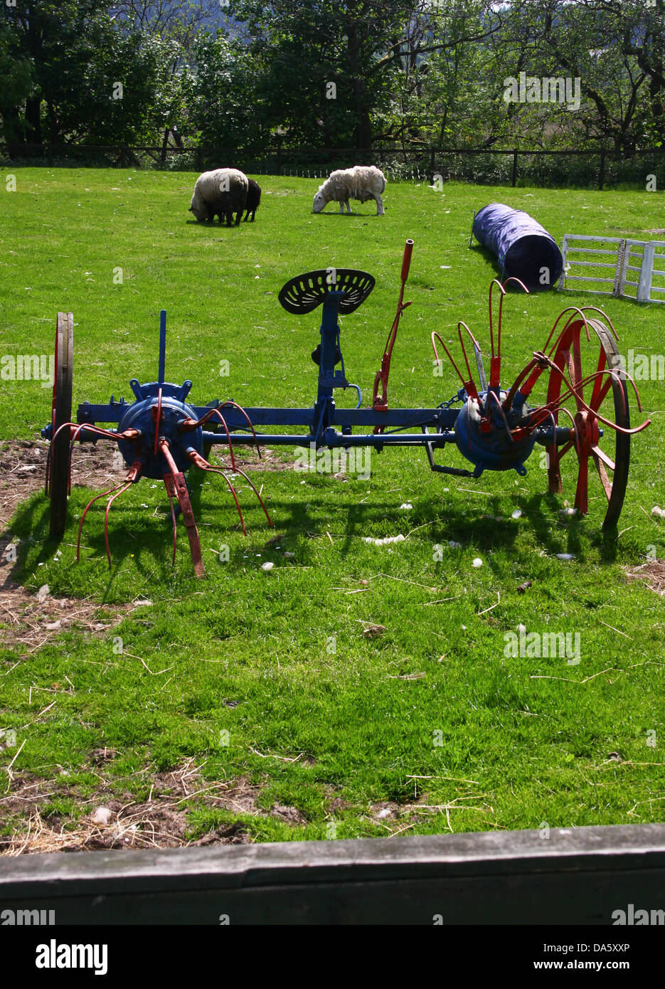 Vieilles machines agricoles dans les enclos avec des moutons Banque D'Images