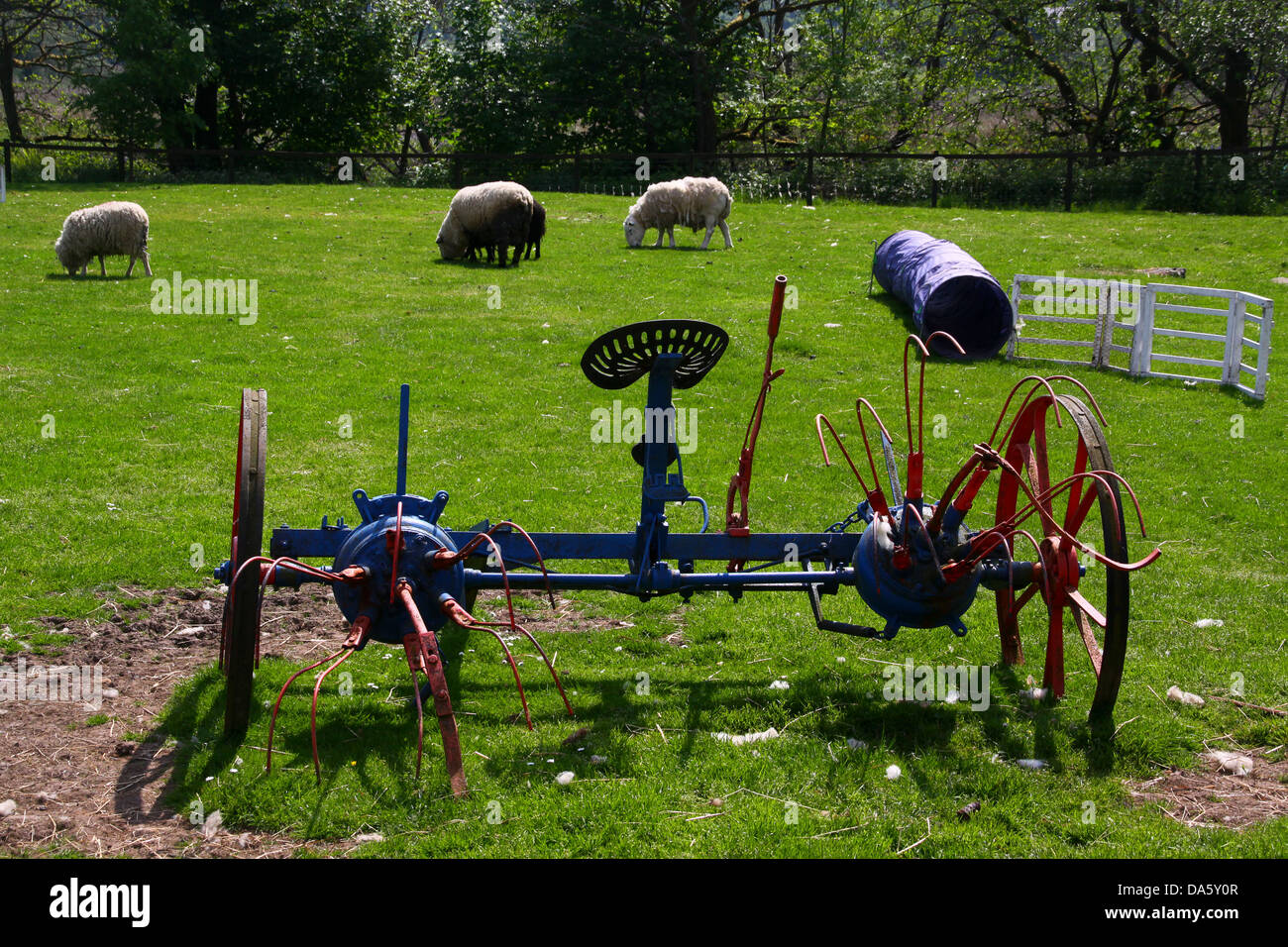 Vieilles machines agricoles dans les enclos avec des moutons Banque D'Images