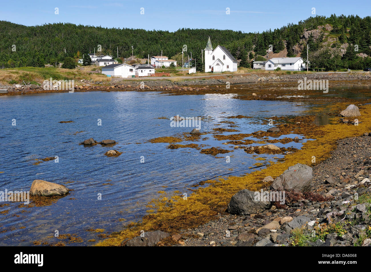 Village de pêcheurs, de la côte du Nord, Terre-Neuve, Canada, village, l'eau, forêt Banque D'Images