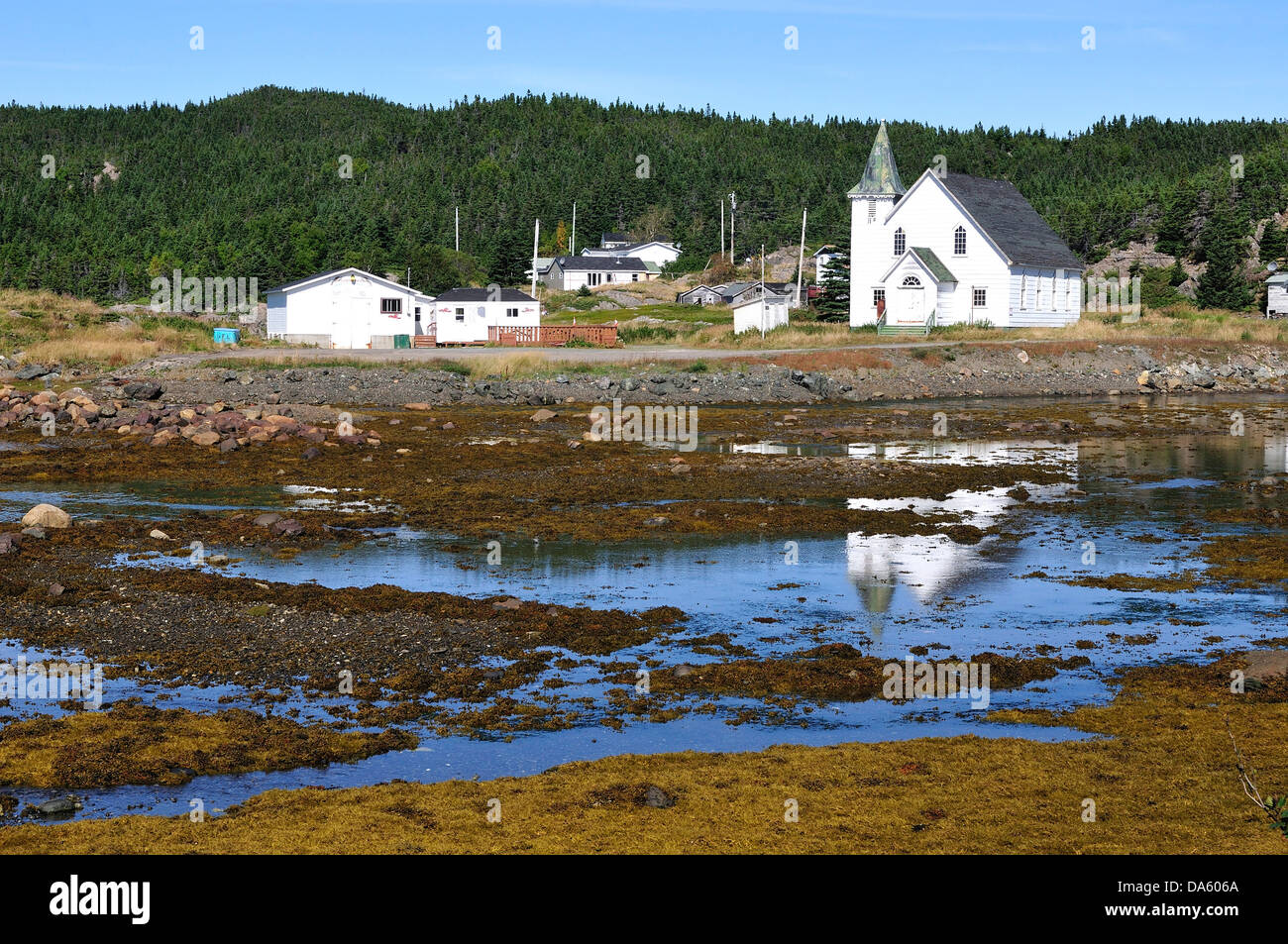 Village de pêcheurs, de la côte du Nord, Terre-Neuve, Canada, village, l'eau, forêt Banque D'Images