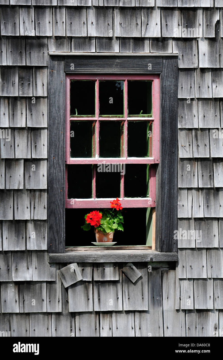 L'histoire vivante, Village, Kings Landing, Fredericton, Nouveau-Brunswick, Canada, fenêtre, fleurs, bardeaux Banque D'Images