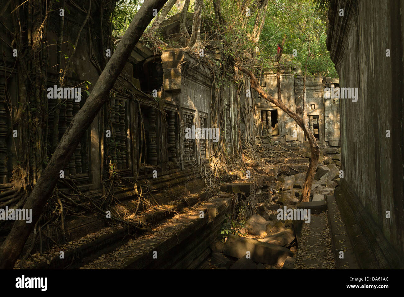 Beng Mealea Cambodge Siem Reap Angkor Wat Temple Banque D'Images