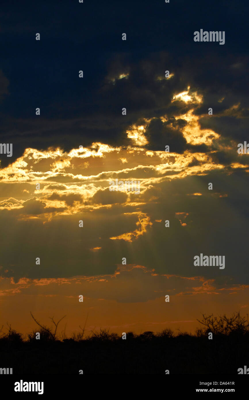 Le coucher du soleil, Parc National d'Etosha, Namibie, Afrique Banque D'Images