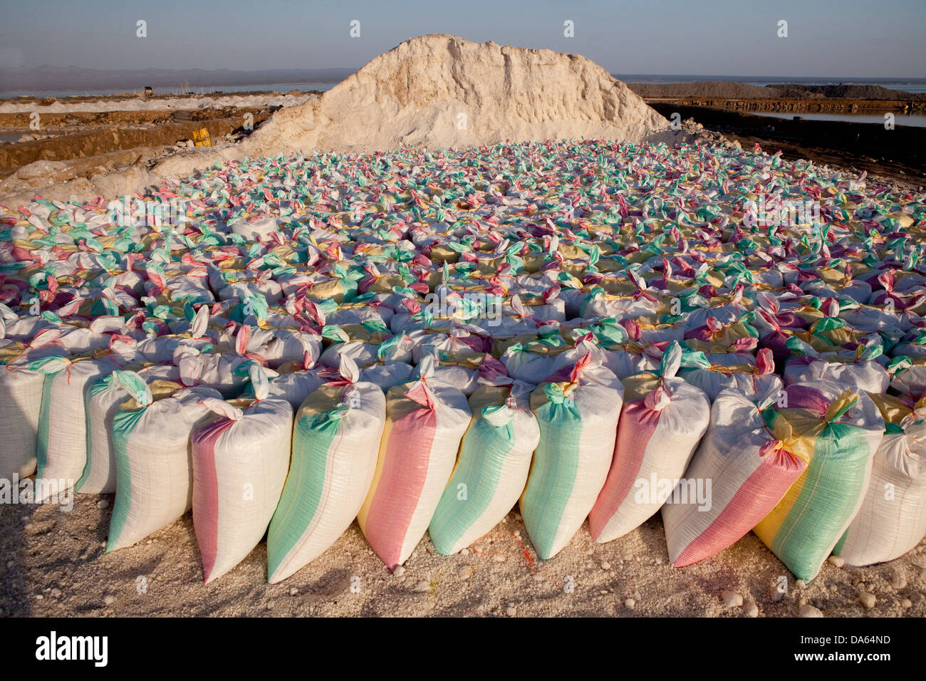 La production de sel, saline, Afrera, lac, Afrique, Ethiopie, sel, sacs Banque D'Images