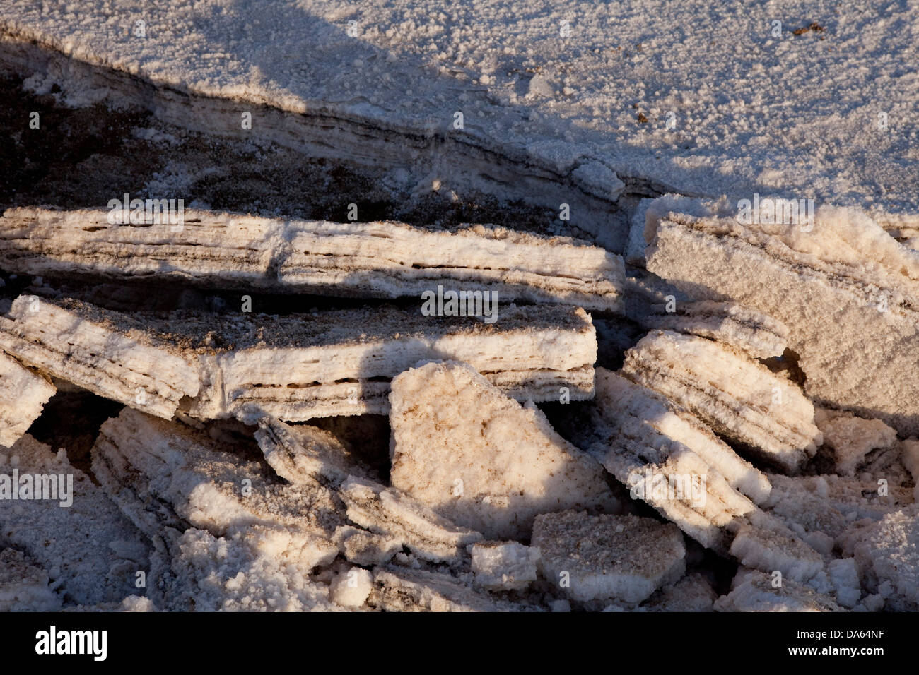 La production de sel, saline, Afrera, lac, Sud, le sel, l'Éthiopie, Banque D'Images
