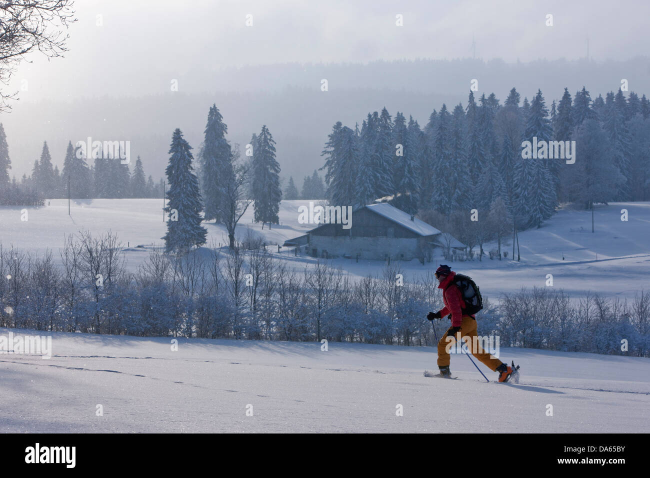 Randonnée pédestre, ski, hiver, canton du Jura, JU, Jura, ski, ski, sports d'hiver, la sculpture, l'hiver, balades, randonnées, trekking, Suisse Banque D'Images