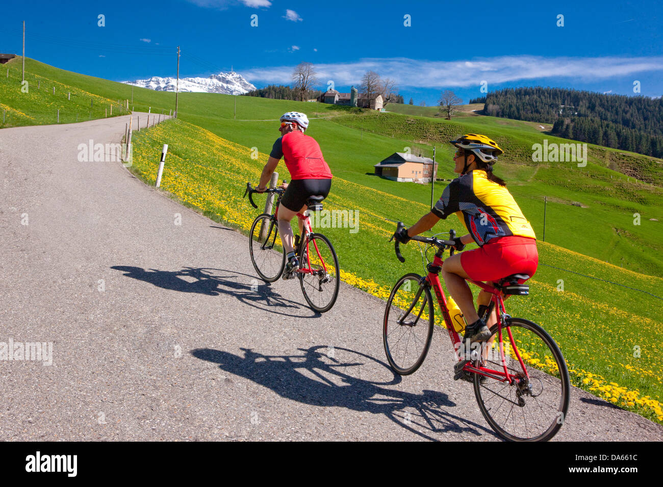 Cycliste, Motard, Toggenburg, printemps, location, vélos, vélo, équitation, vélo, canton, SG, Saint-Gall, course, Churfirsten bicyc Banque D'Images