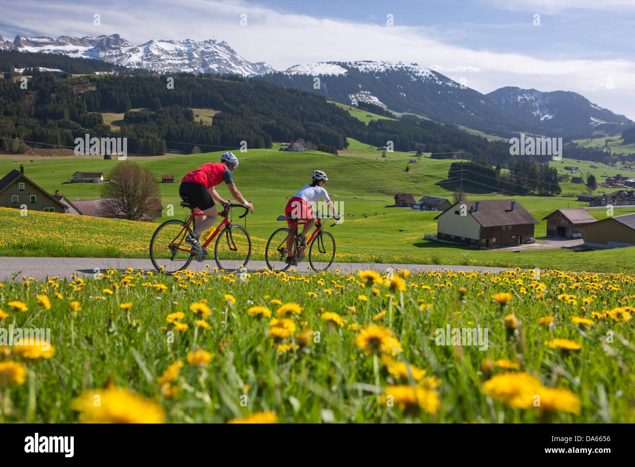 Cycliste, Motard, Appenzell, printemps, location, vélos, vélo, équitation, vélo, canton d'Appenzell, l'Alpstein, Sänt Innerroden, Banque D'Images