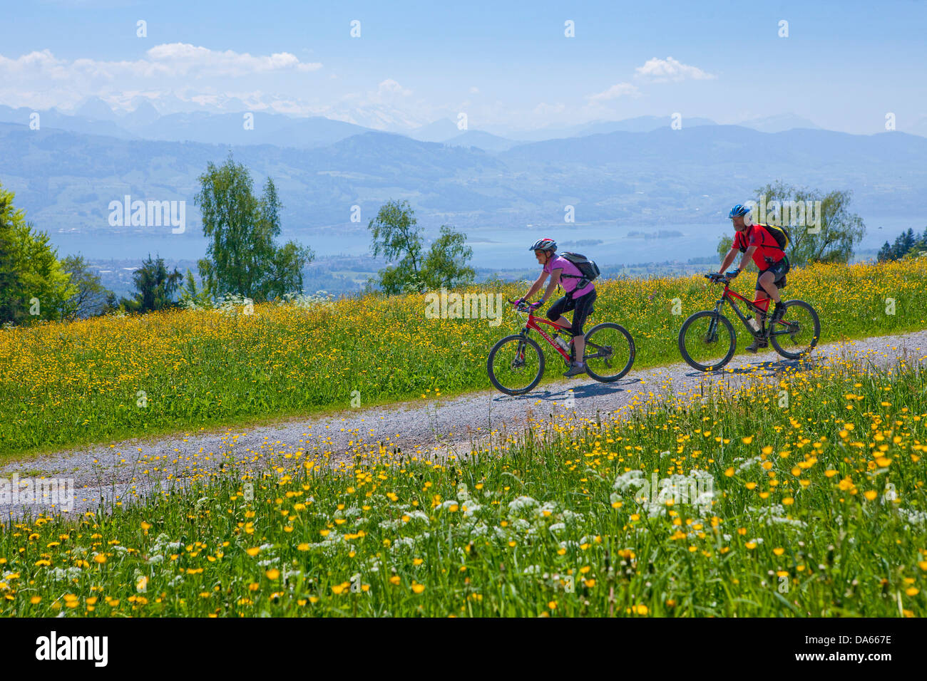Biker, Bachtel, vue, du lac de Zurich, le lac, les lacs, canton, ZH, Zurich, location, vélos, vélo, équitation, vélo, sports d'été, spo Banque D'Images