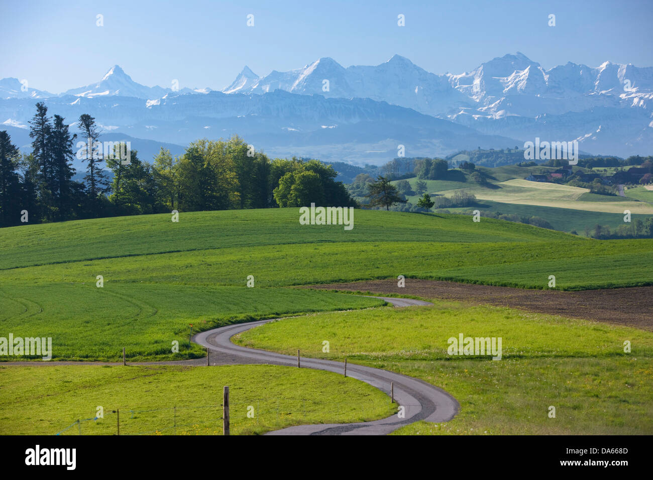 Gurten, Oberland, Alpes, montagne, montagnes, cantons, Berne, Jungfrau, Eiger, Mönch, moine, paysage, paysage, l'agriculture, Switzer Banque D'Images