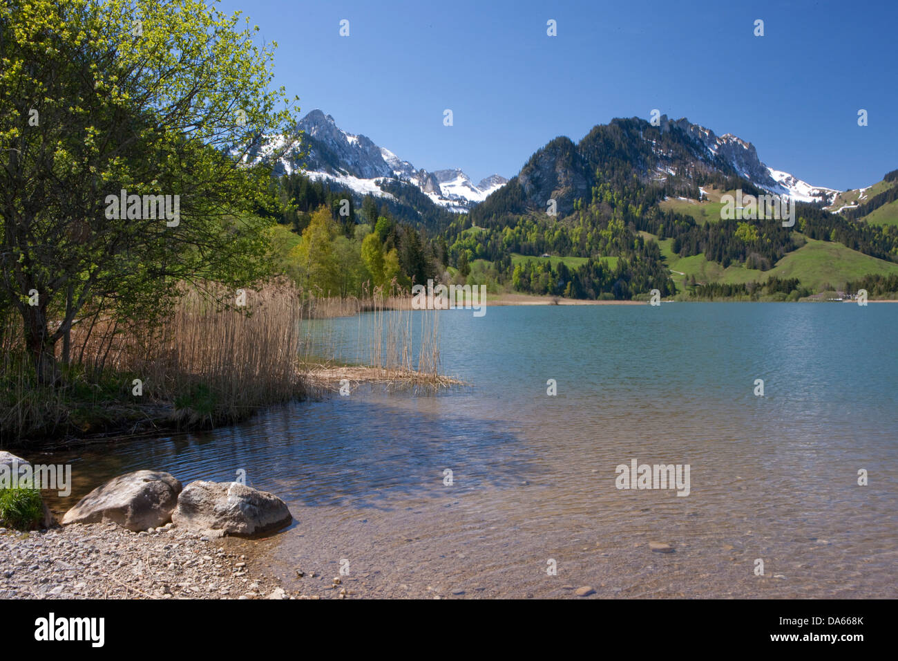 Schwarzsee, montagne, Montagnes, Lac de montagne, lac, lacs, canton, FR, Fribourg, Fribourg, Suisse, Europe, l'eau, la nature Banque D'Images