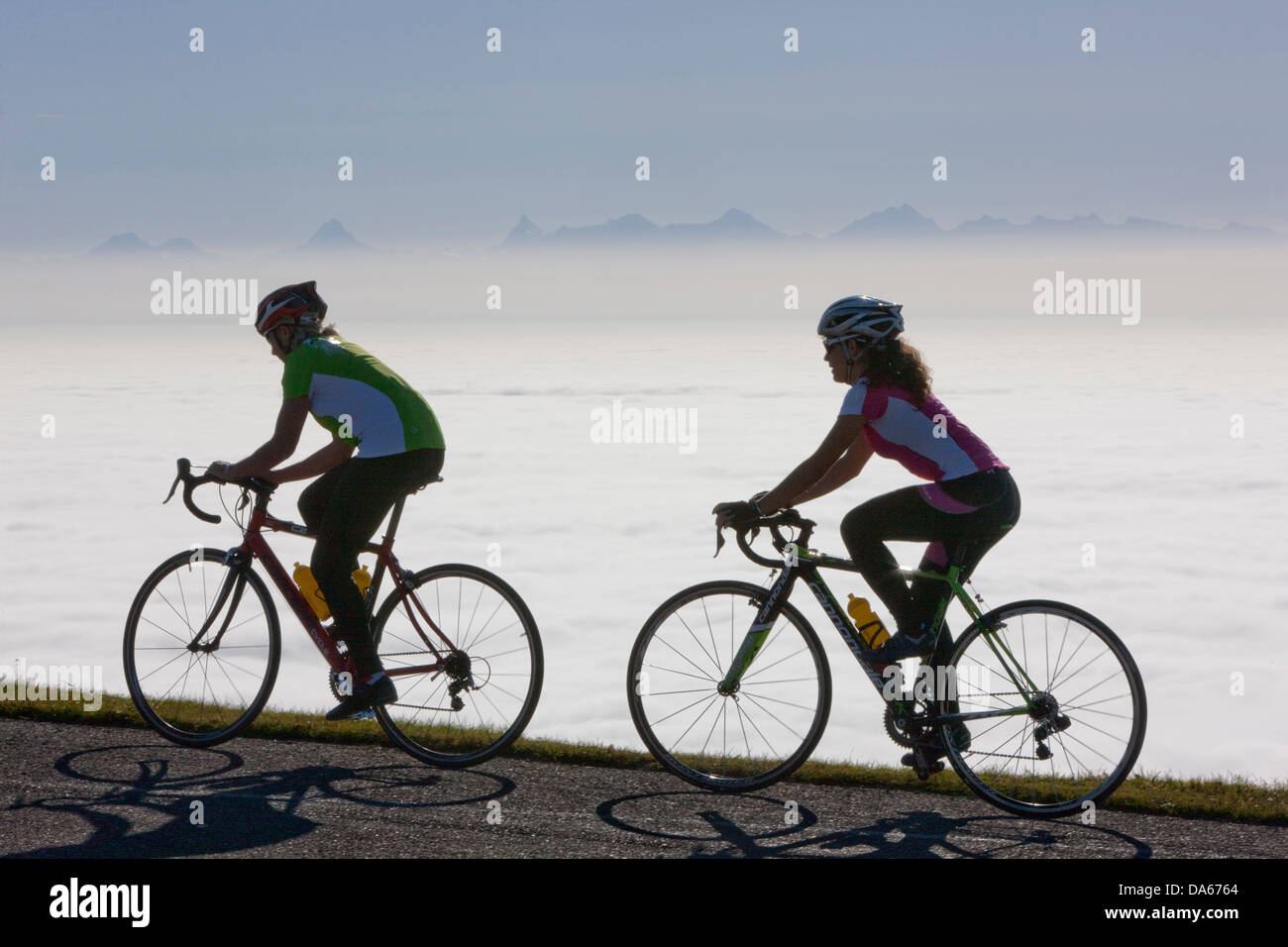Cycliste, Motard, Chasseral, Alpes, cantons, Berne, JU, Jura, automne, location, vélos, vélo, la bicyclette, le brouillard, la mer de brouillard, brouillard Banque D'Images