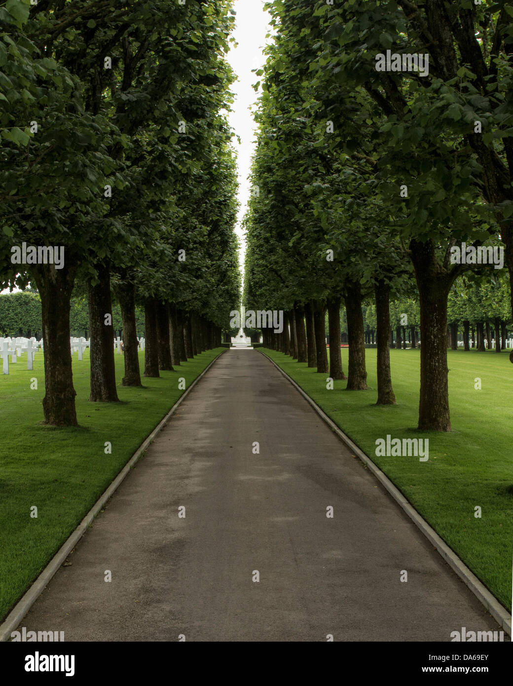 Le sentier bordé d'arbres au cimetière militaire américain de Meuse-Argonne en France Banque D'Images