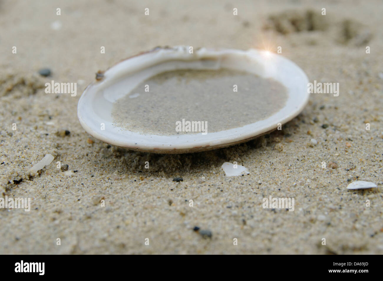 ​​Shell la mer remplie de sable et l'eau, l'éruption solaire Banque D'Images