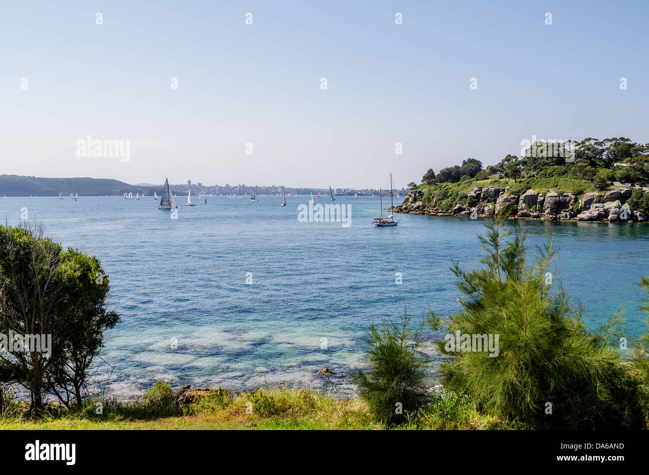 Baie de persil à Sydney avec son parc avec pelouse, et l'anse. Banque D'Images