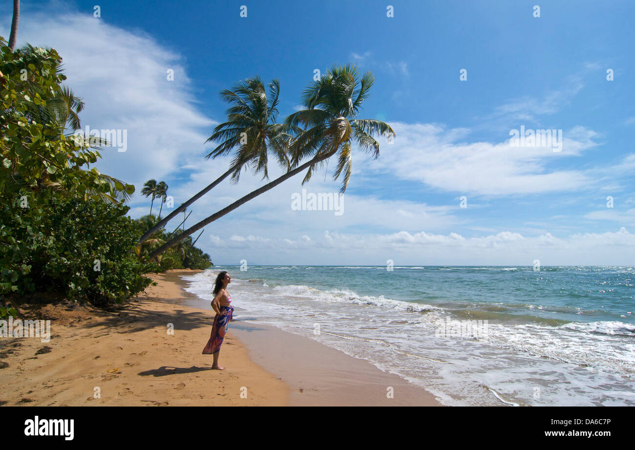 Puerto Rico, Caraïbes, Antilles, Antilles, Palmas de Mar, palm beach, palm beach, plages de sable, plages de sable, de la plage, se Banque D'Images