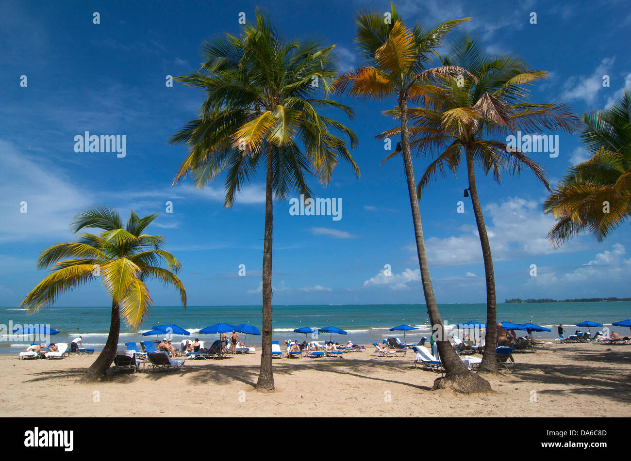 Puerto Rico, Caraïbes, Antilles, Antilles, San Juan, palm beach, palm beach, plages de sable, plages de sable, plage, seashor Banque D'Images
