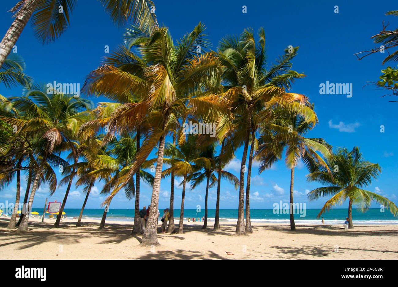 Puerto Rico, Caraïbes, Antilles, Antilles, San Juan, Isla Verde Beach, palm beach, palm beach, plages de sable, plage de sable Banque D'Images