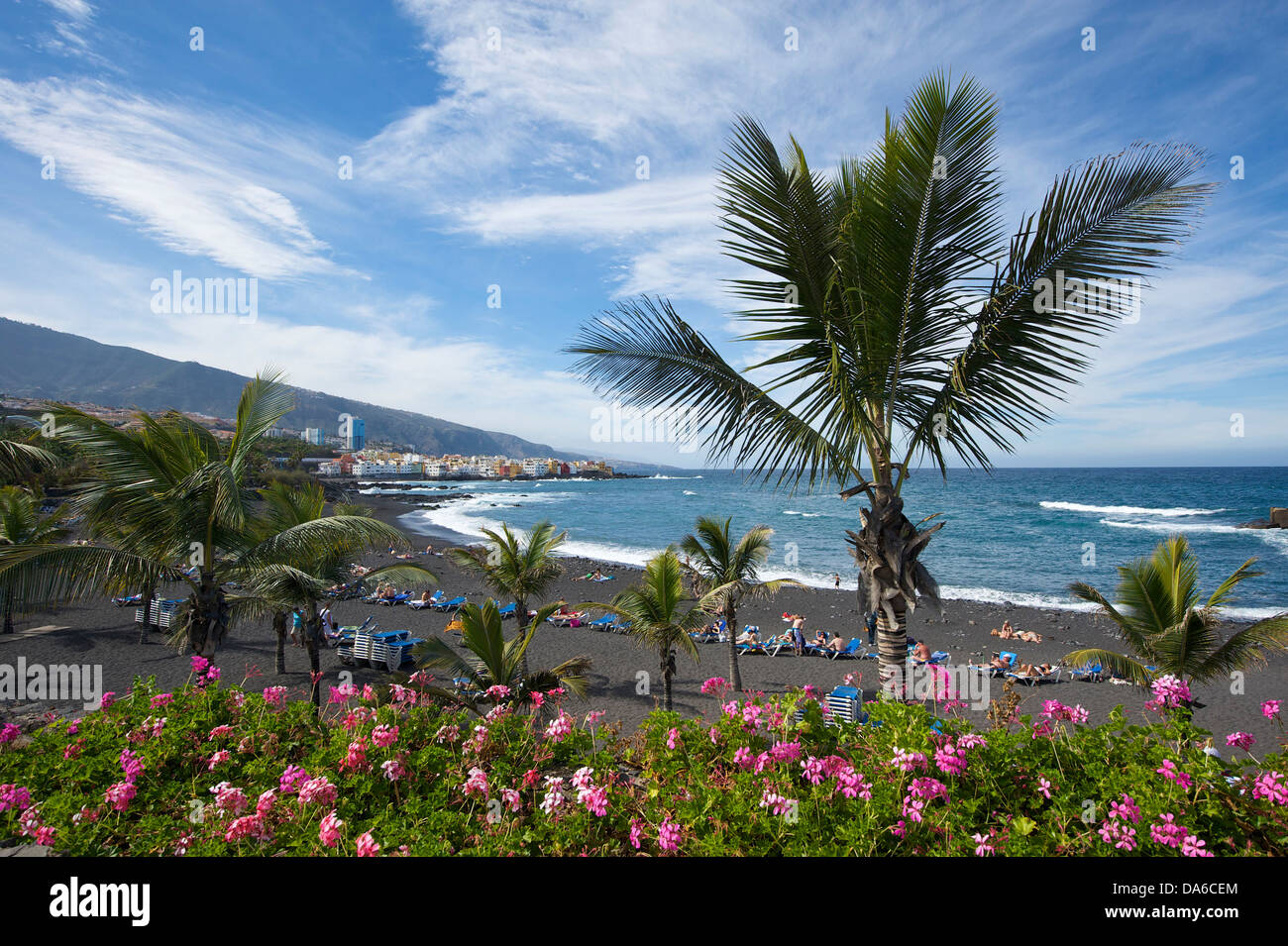 Tenerife, Teneriffa, Canaries, Canaries, Îles britanniques, l'Espagne, l'espagnol, l'Europe, Puerto de la Cruz, Playa Jardin, palm beach, palm Banque D'Images