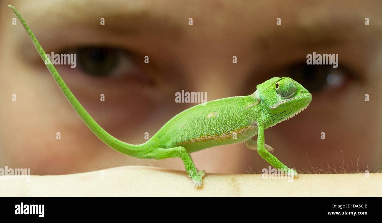 Vptbapdkvjtdzm Vptbapdkvjtdzm
