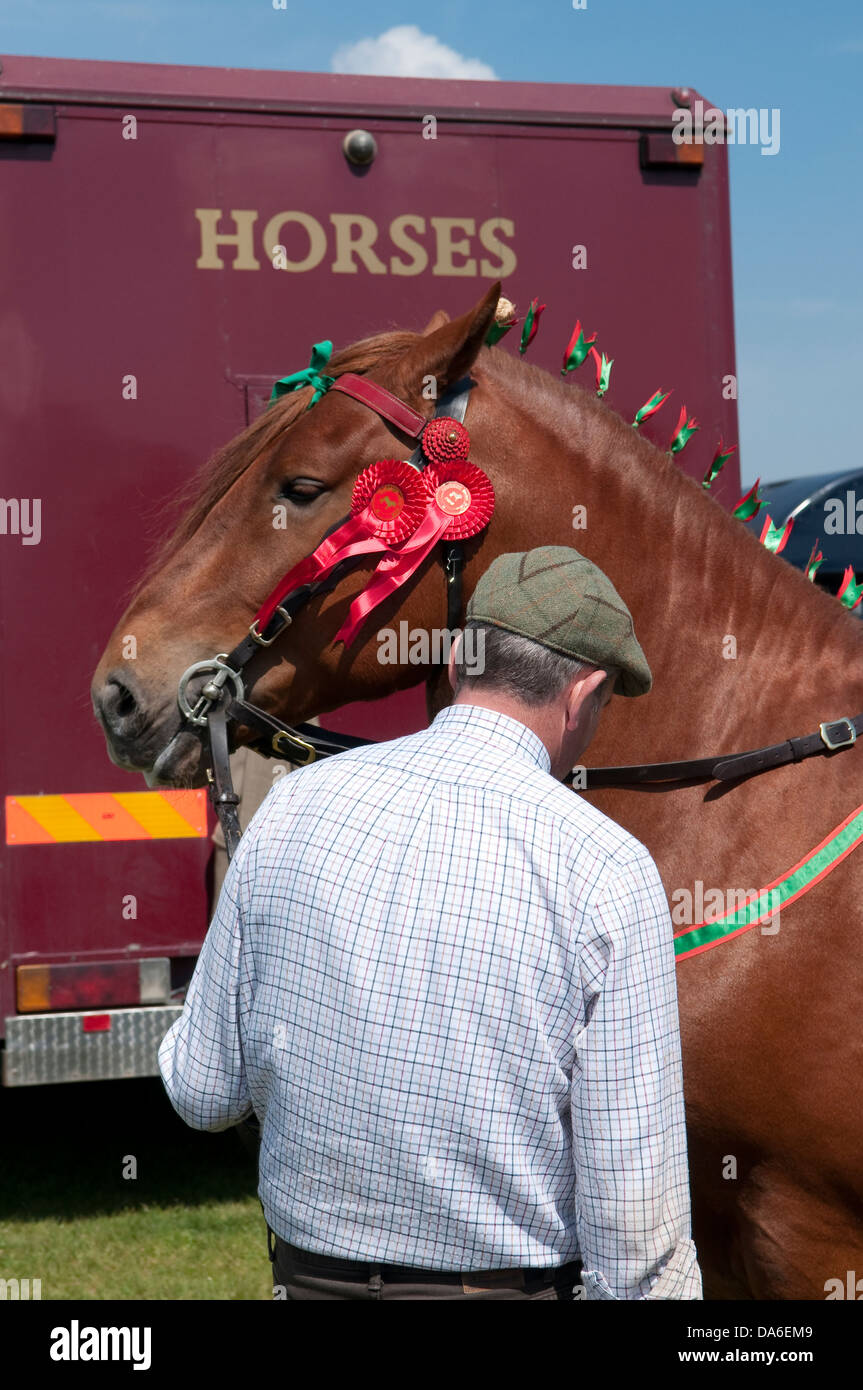 Homme avec un cheval à Suffolk Horse Show à Ipswich Banque D'Images