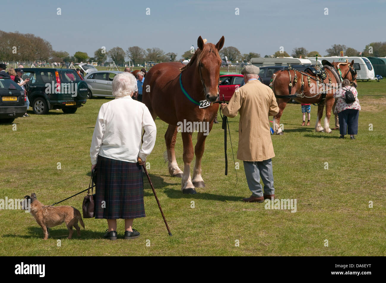 Visiteurs à Suffolk Horse Show à Ipswich Banque D'Images
