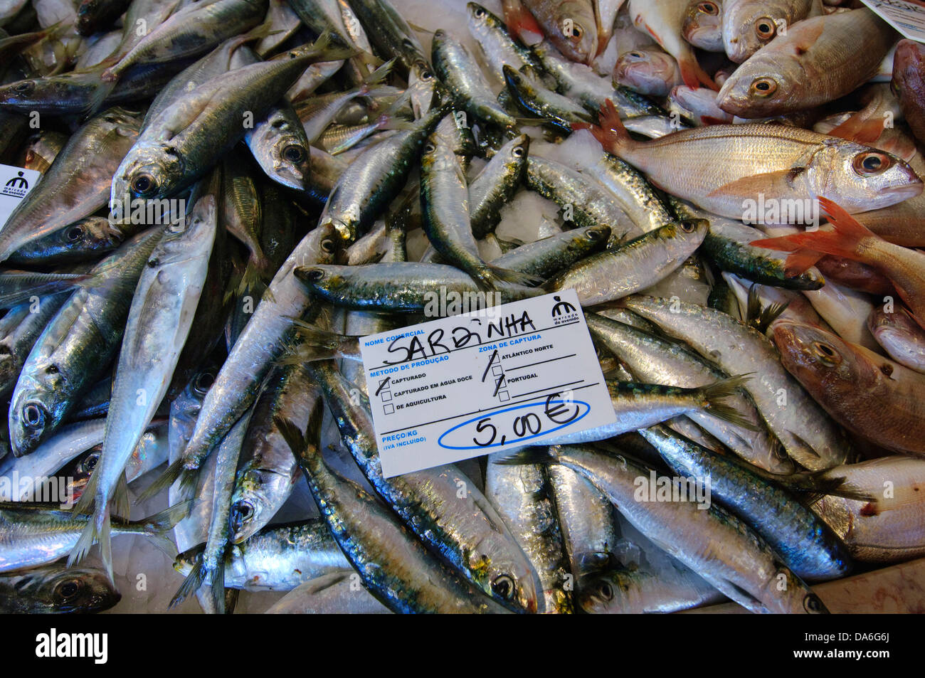 Algarve, le poisson, le marché aux poissons, Lagos, Portugal, du poisson, de l'alimentation Banque D'Images
