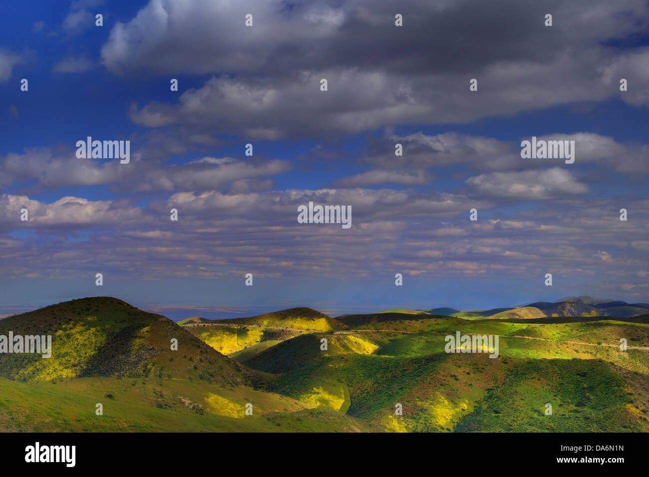 USA, United States, Amérique, Californie, Carrizo Plain, paysage, Monument National, de fleurs sauvages, printemps, saisons, Hills Banque D'Images