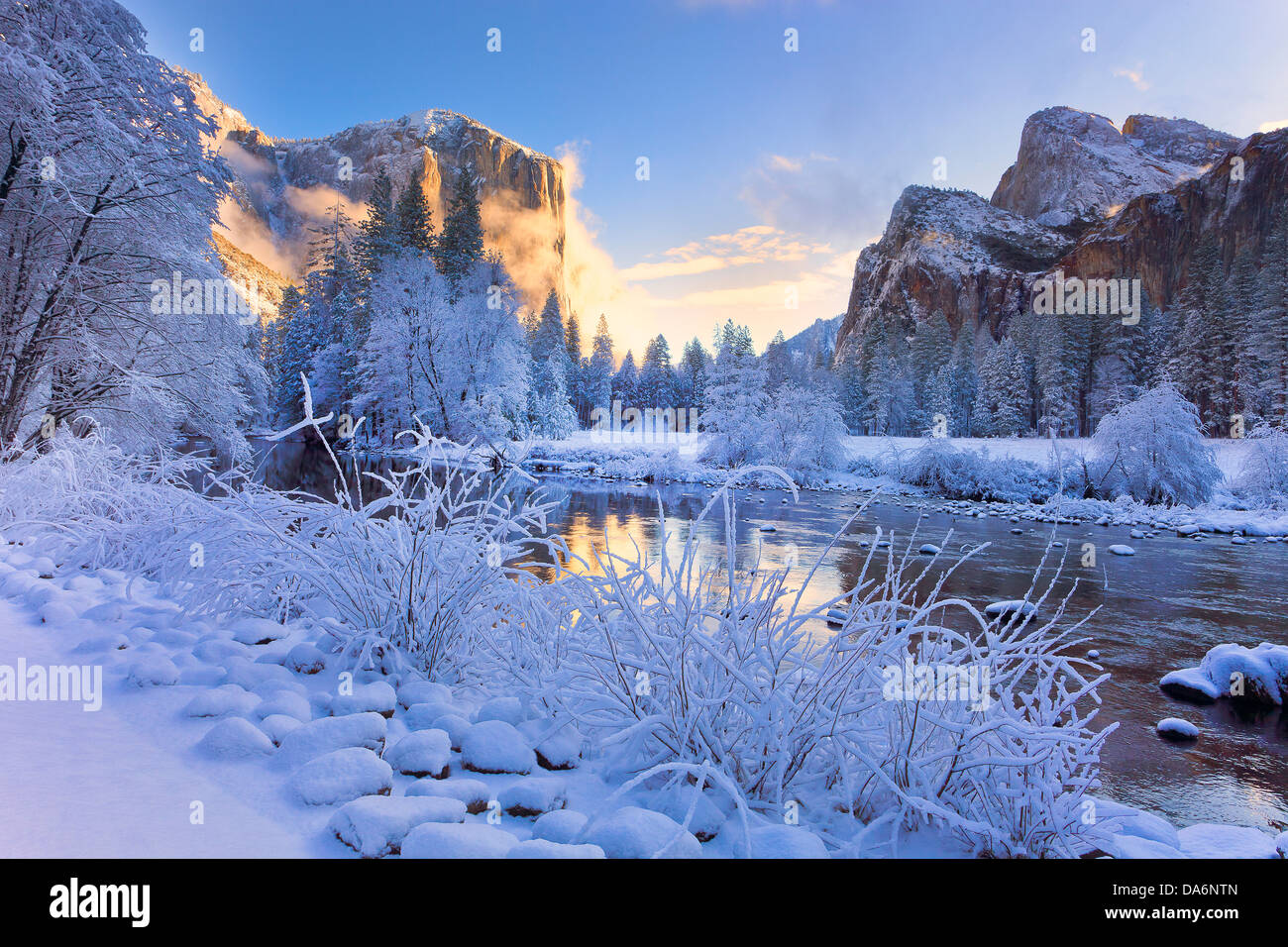 USA, United States, Amérique, Yosemite Valley, Californie, neige, arbres, hiver, paysage Banque D'Images