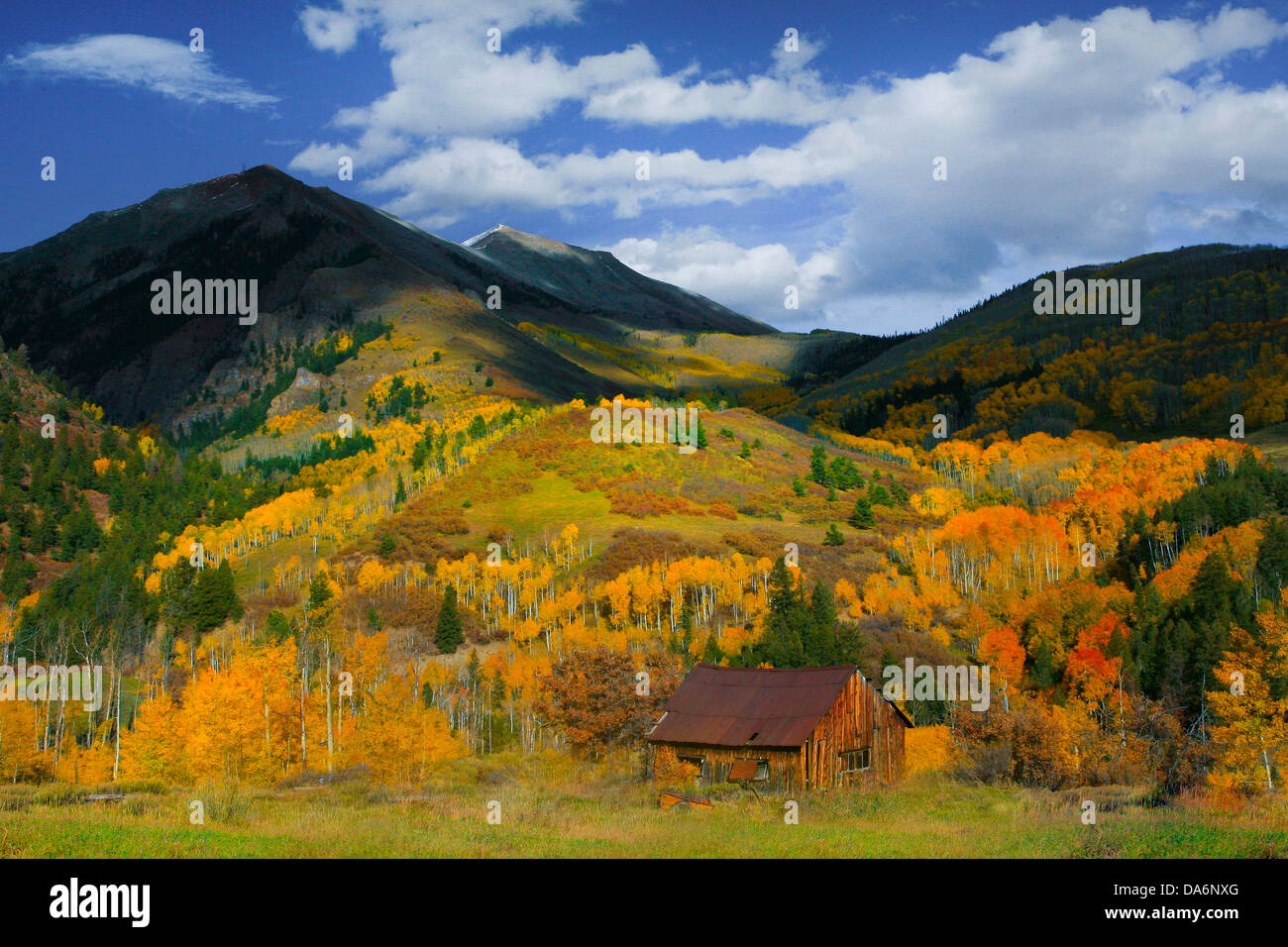 USA, United States, Amérique, Colorado, l'automne, l'automne, la couleur de l'automne, saisons, trembles, collines, forêts nationales, Gunnison, Rocky Mountain Vues Banque D'Images