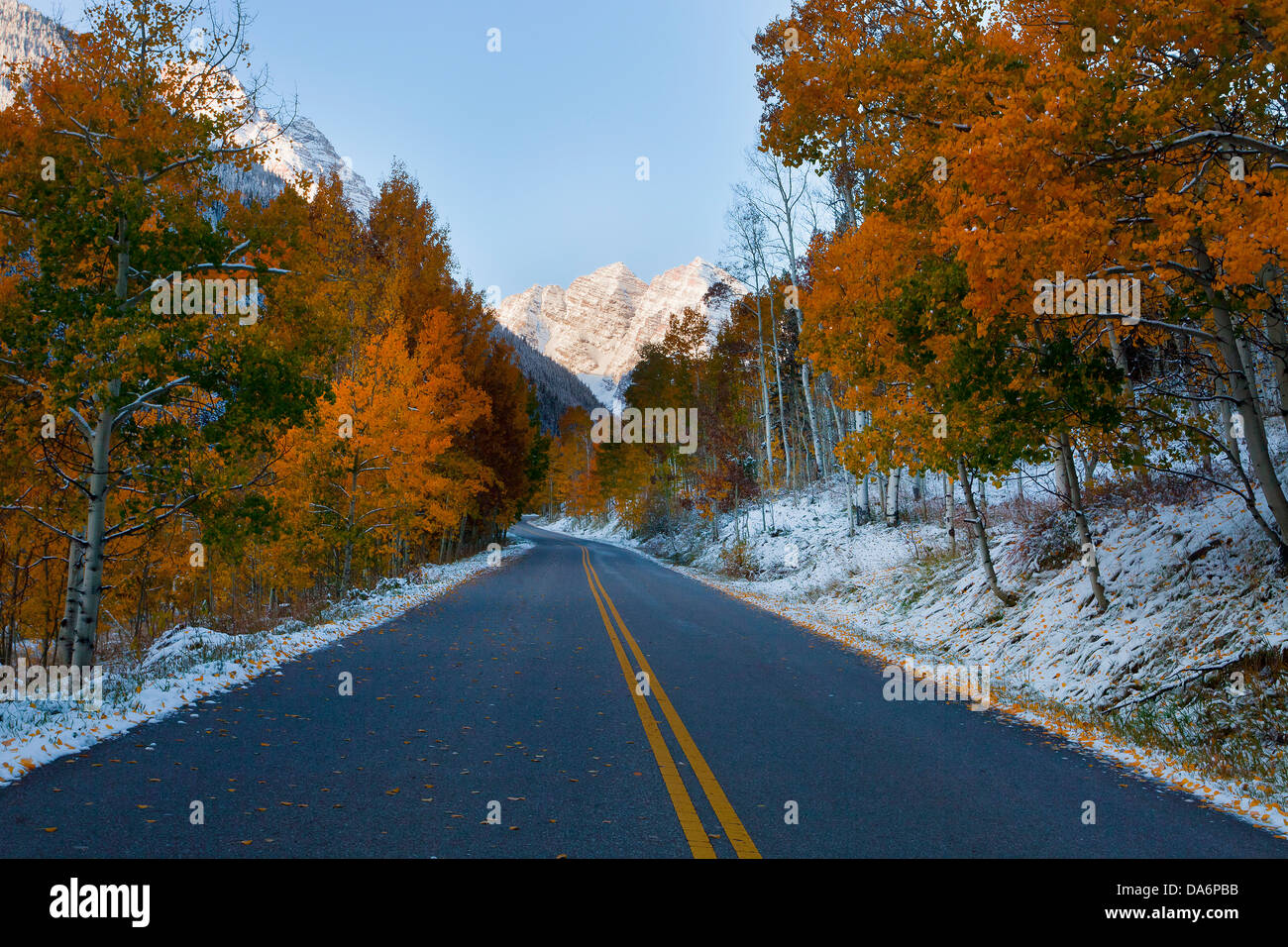 USA, United States, Amérique, Colorado, Automne, Automne, arbres, la couleur de l'automne, route, streight, Aspen Banque D'Images